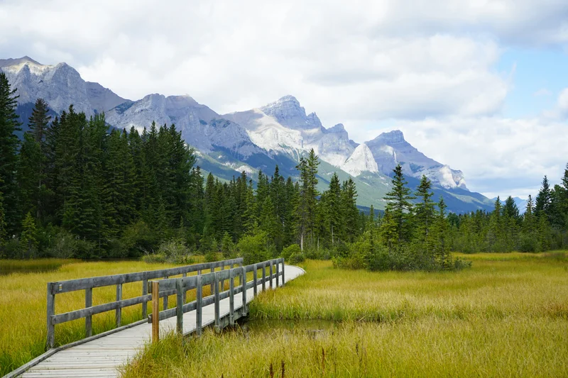 Rocky Mountains landscape in Alberta, Canada