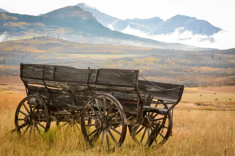 Northern Alberta wilderness and boreal forest